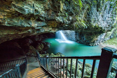 Springbrook Full Day Tour - Holiday Find 4