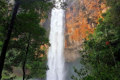 Springbrook Full Day Tour - Holiday Find 5