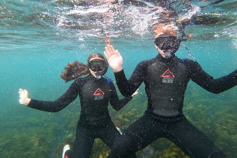 Manly Snorkel Trip And Nature Walk With Local Guide - Holiday Find 3