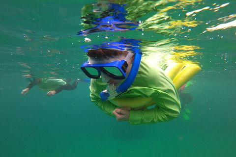 Manly Snorkel Trip And Nature Walk With Local Guide - Holiday Find 5