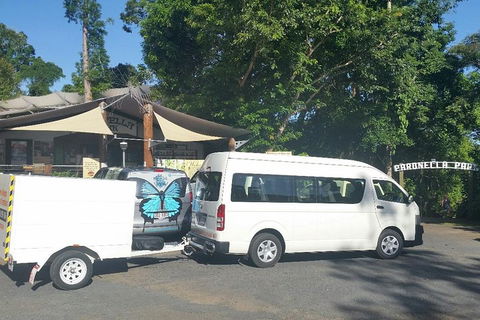 Airport Transfer To Or From Cairns Hotels For Up To 13 People - Holiday Find 4