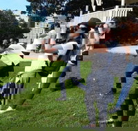 Smartphone  Camera Photography Basics - Holiday Find