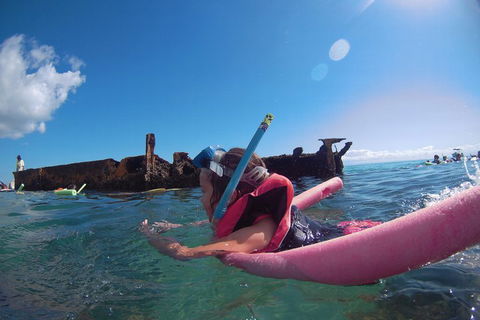 All Inclusive Dolphin And Tangalooma Wrecks Cruise - Holiday Find 2