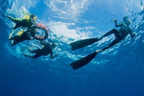 Passions Of Paradise Great Barrier Reef Snorkel And Dive Cruise From Cairns By Luxury Catamaran - Holiday Find 2