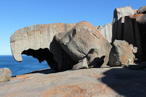 Kangaroo Island Personal Group Tours - Holiday Find 2