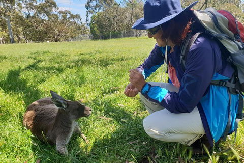 Mount Lofty Hike And Cleland Wildlife Park Day Trip From Adelaide - Holiday Find 1