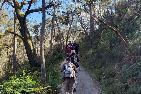 Mount Lofty Hike And Cleland Wildlife Park Day Trip From Adelaide - Holiday Find 3