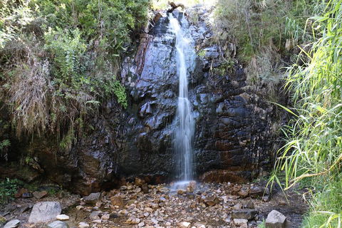 Mount Lofty Hike And Cleland Wildlife Park Day Trip From Adelaide - Holiday Find 4