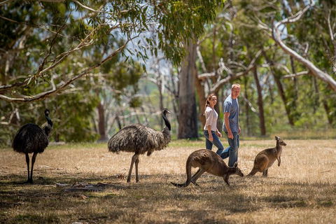 Mount Lofty Hike And Cleland Wildlife Park Day Trip From Adelaide - Holiday Find 5