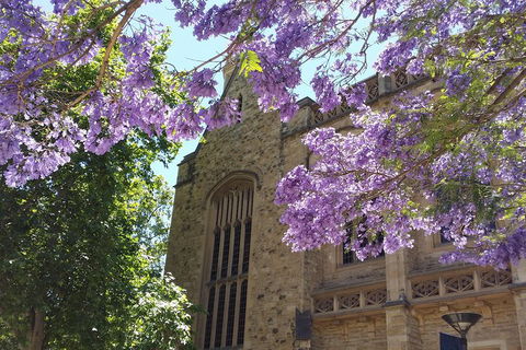 Cultural Caper Adelaide Walking Tour - Holiday Find 1