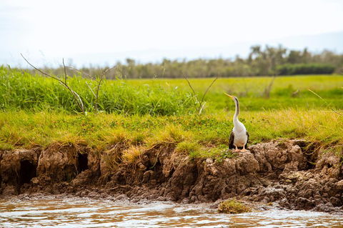 Darwin City Sights And Jumping Crocodile Cruise - Holiday Find 2