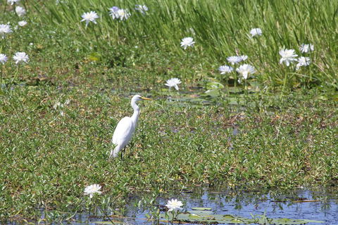 Darwin City Sights And Jumping Crocodile Cruise - Holiday Find 4