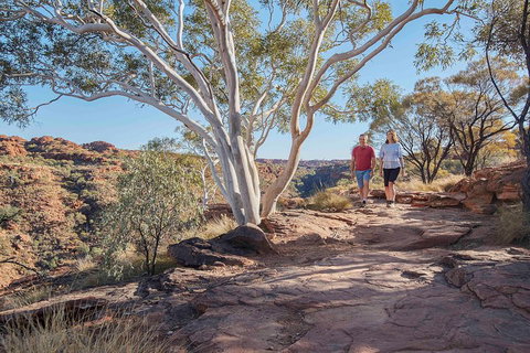 3-Day Tour From Uluru (Ayers Rock) To Alice Springs Via Kings Canyon - Holiday Find 1