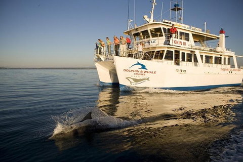 Jervis Bay Dolphin Watch Cruise - Holiday Find 3