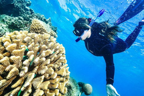 Green Island Day Trip From Cairns - Holiday Find 1