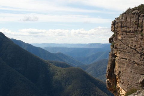 Inside The Greater Blue Mountains World Heritage - A Wildlife Safari Overnight - Holiday Find 4
