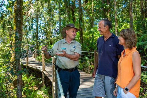 Kuranda Scenic Railway Day Trip From Cairns - Holiday Find 1