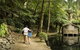 Discover Tour: Dandenong Ranges & William Ricketts Sanctuary - thumb 0
