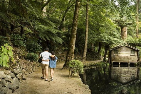 Discover Tour: Dandenong Ranges & William Ricketts Sanctuary - Holiday Find 0