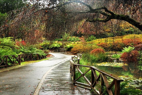 Discover Tour: Dandenong Ranges & William Ricketts Sanctuary - Holiday Find 3