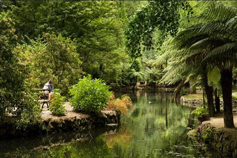 Discover Tour: Dandenong Ranges & William Ricketts Sanctuary - Holiday Find 4
