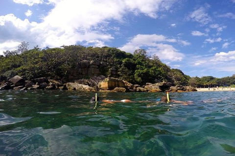 Manly And Shelly Beach Snorkeling Tour - Holiday Find 4