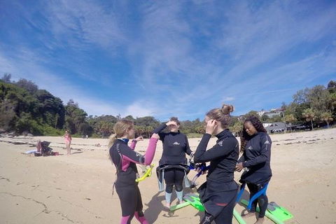 Manly And Shelly Beach Snorkeling Tour - Holiday Find 5