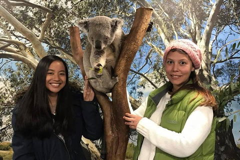 Australia Multi-City Attractions Pass - Holiday Find 3