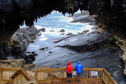 Full-Day Kangaroo Island Safari From Penneshaw - Holiday Find 1