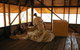 Enthralling Broome Self-Guided Audio Tour - thumb 1