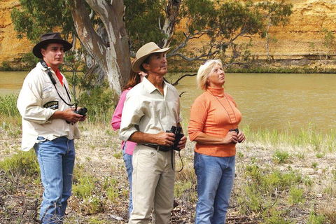 4-Night Murray River Cruise By Classic Paddle Wheeler PS Murray Princess - Holiday Find 2