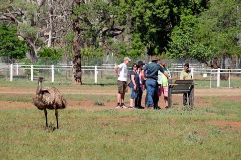 Yura Udnyu - Our Culture, Your Culture (Aboriginal Cultural Walk) - Holiday Find 1