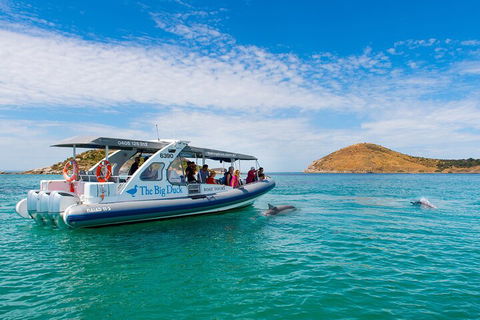 Southern Ocean Adventure From Victor Harbor - Holiday Find 1