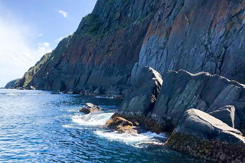 Southern Ocean Adventure From Victor Harbor - Holiday Find 3