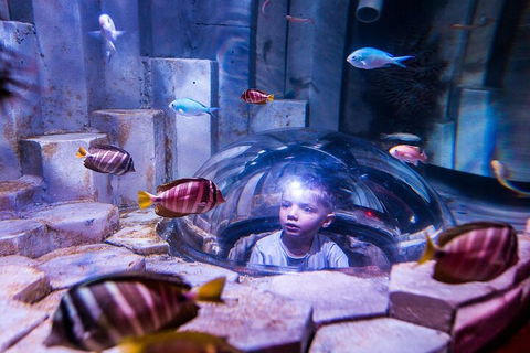 Melbourne BIG Ticket - LEGOLAND Discovery And SEA LIFE Melbourne - Holiday Find 5