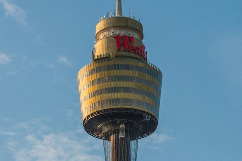 Hop-On Hop-Off Bus And PLUS 4 Merlin Attractions - Holiday Find 3