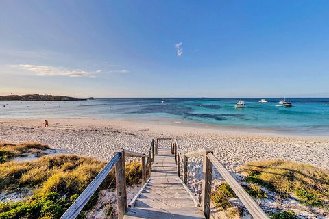 Discover Rottnest With Ferry & Bus Tour From Perth Or Fremantle - Holiday Find 4