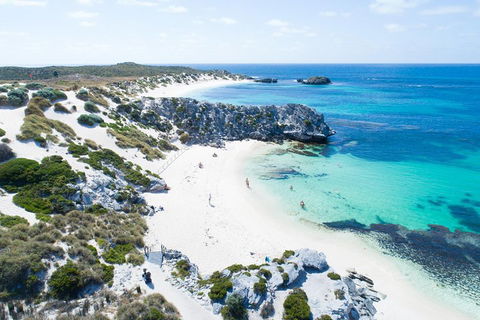 Discover Rottnest With Ferry & Bus Tour From Perth Or Fremantle - Holiday Find 5