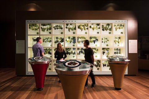 Australian Wine Discovery Tour Ticket - Holiday Find 3