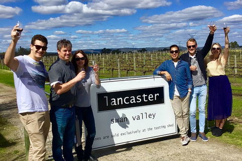 Swan Valley Tour From Perth: Wine, Beer And Chocolate Tastings - Holiday Find 1