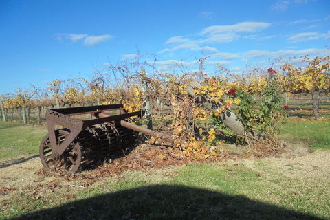 Swan Valley Tour From Perth: Wine, Beer And Chocolate Tastings - Holiday Find 3