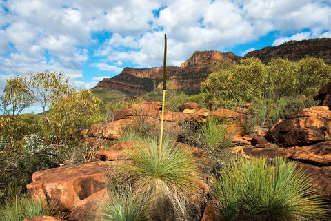 6-Day Eyre Peninsula & Flinders Ranges Adventure Tour - Holiday Find 1