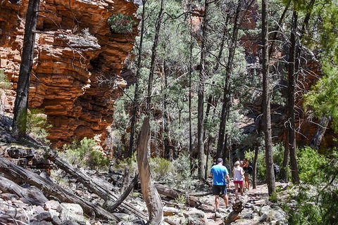 6-Day Eyre Peninsula & Flinders Ranges Adventure Tour - Holiday Find 5