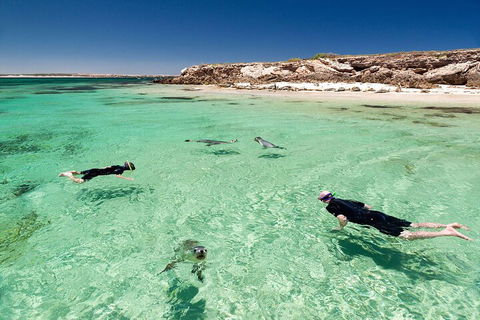 10 Day Adelaide To Perth Private Tour - The Great Australian Wilderness Journey - Holiday Find 1
