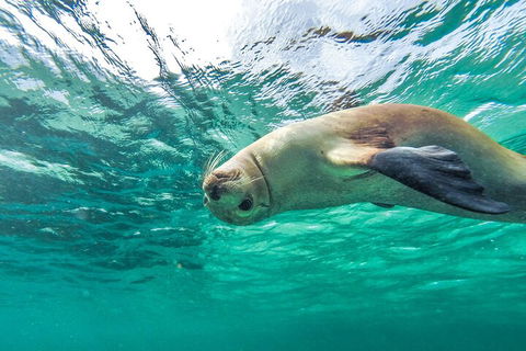 10 Day Adelaide To Perth Private Tour - The Great Australian Wilderness Journey - Holiday Find 2