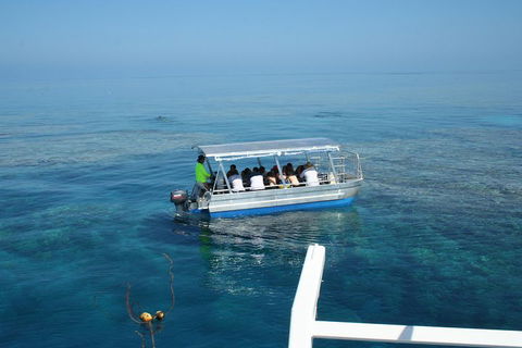 Seastar Luxury Outer Great Barrier Reef Island And Reef Tour From Cairns - Holiday Find 5