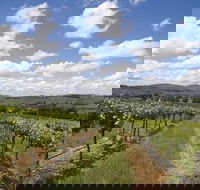 Hunter Valley Wine Tour from Sydney incl Lunch Cheese Chocolate and Distillery - Holiday Find