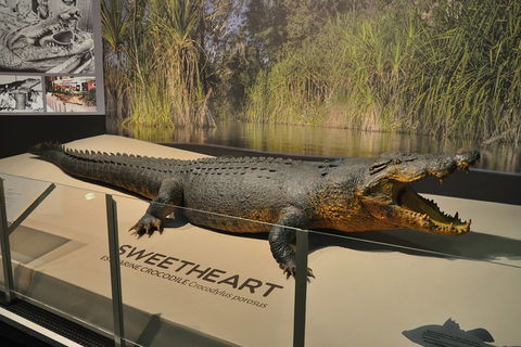 Explore Darwin City Sights Including Key Attractions - Holiday Find 2