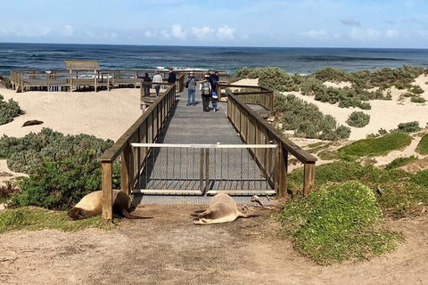 Kangaroo Island 4WD Tour - Best Of KI - Holiday Find 2