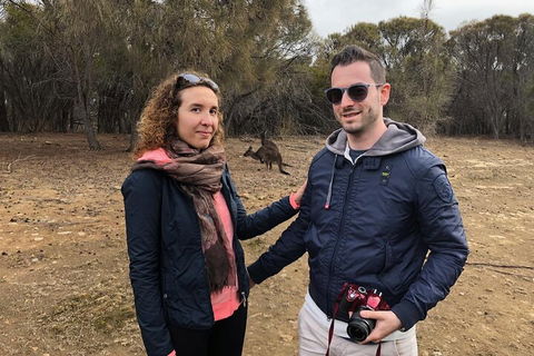Kangaroo Island 4WD Tour - Best Of KI - Holiday Find 3